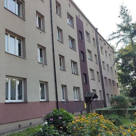Apartament Curie Zabrze Esterno foto